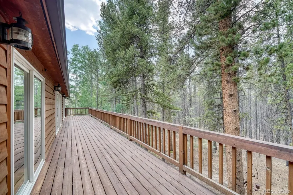 37 Comstock Court Leadville CO 80461