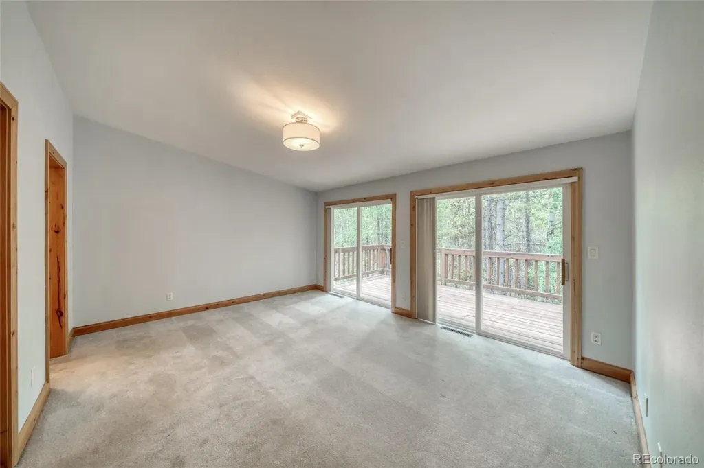 37 Comstock Court Leadville CO 80461