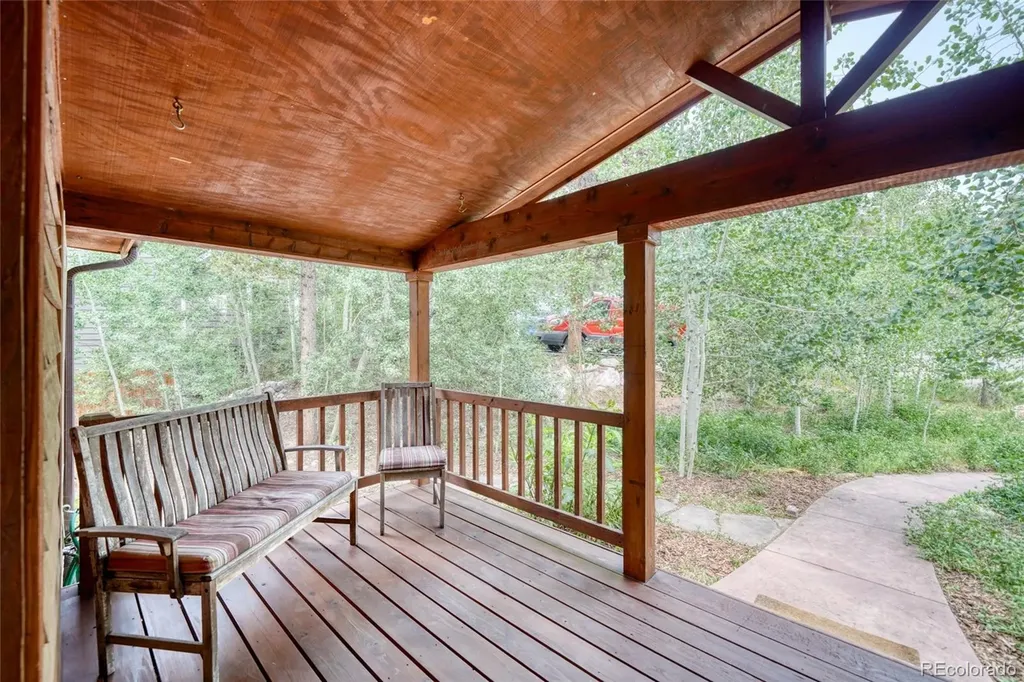 37 Comstock Court Leadville CO 80461