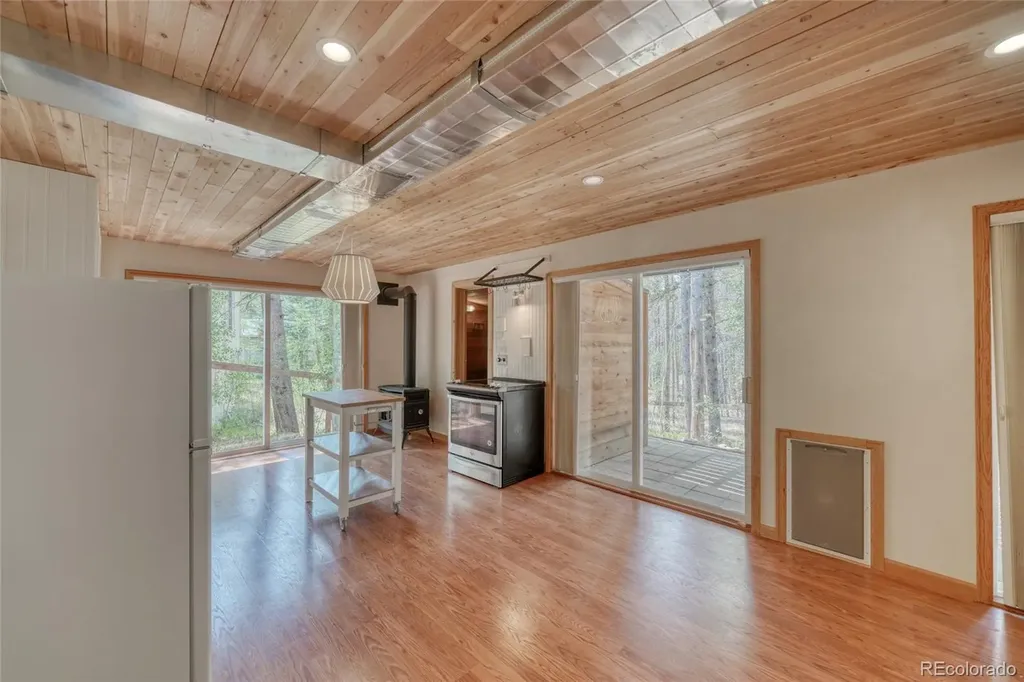 37 Comstock Court Leadville CO 80461