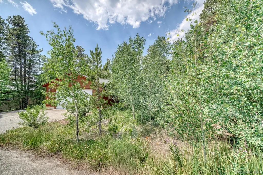 37 Comstock Court Leadville CO 80461