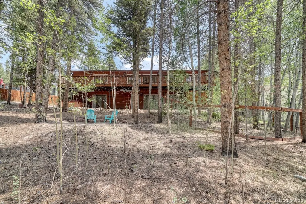 37 Comstock Court Leadville CO 80461