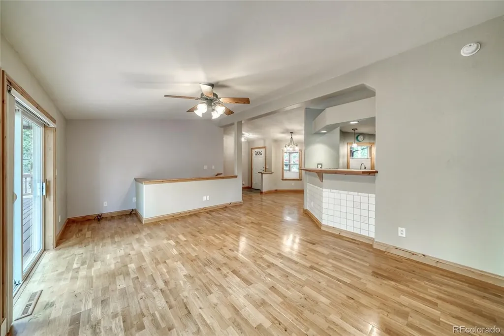 37 Comstock Court Leadville CO 80461
