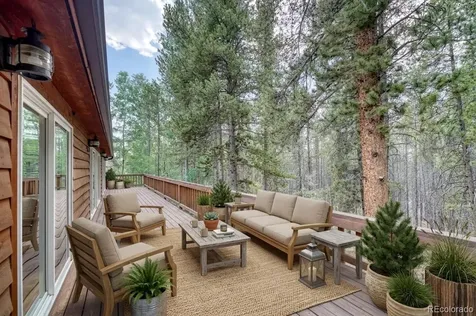 37 Comstock Court Leadville CO 80461