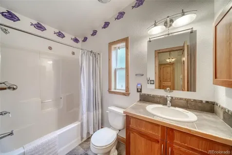 37 Comstock Court Leadville CO 80461