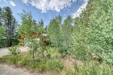 37 Comstock Court Leadville CO 80461