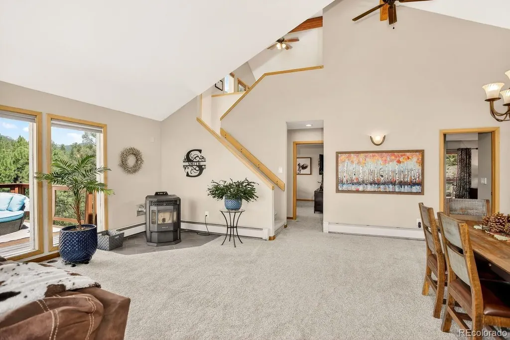 203 Valley View Lane Pine CO 80470