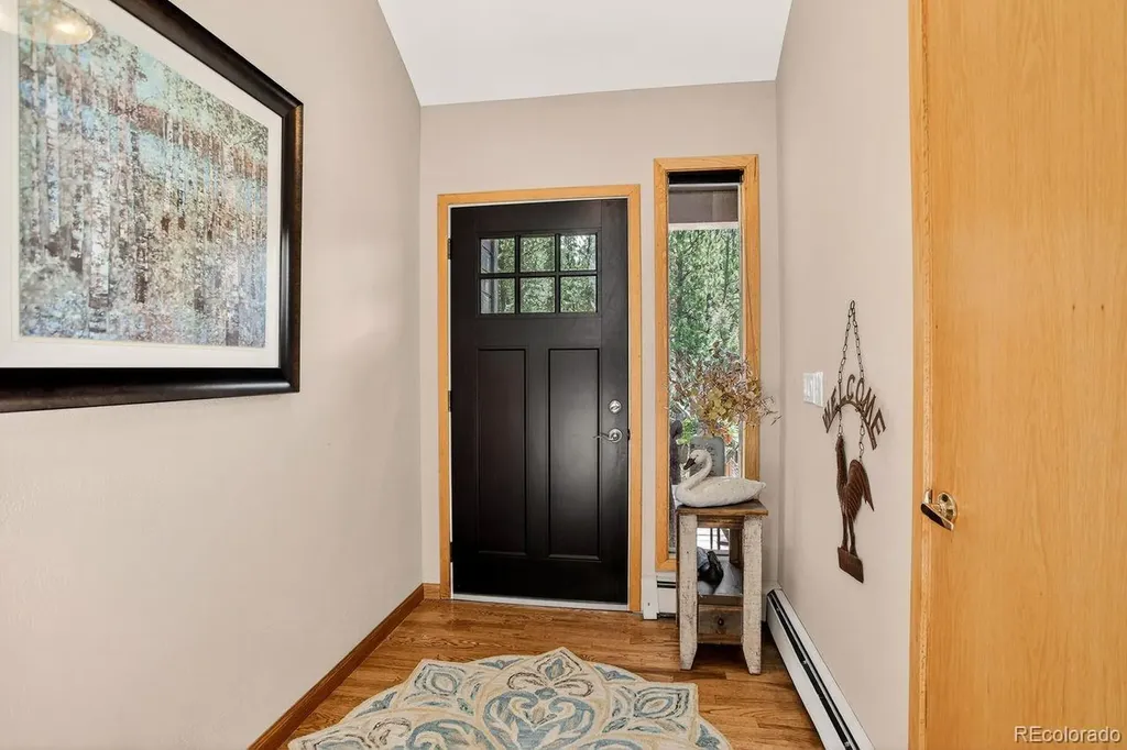 203 Valley View Lane Pine CO 80470
