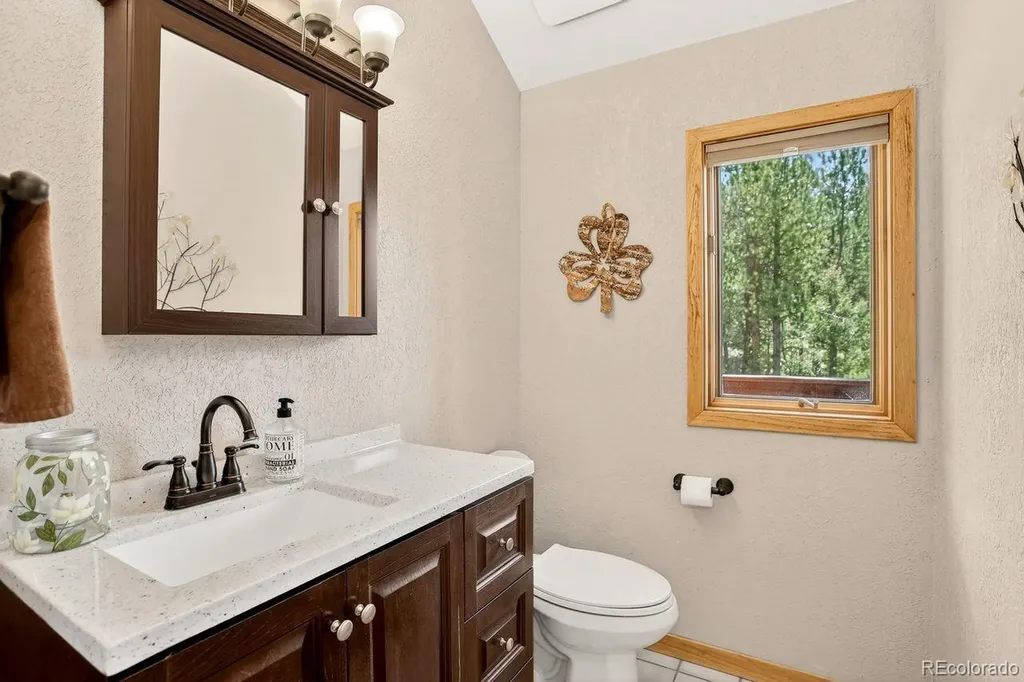 203 Valley View Lane Pine CO 80470