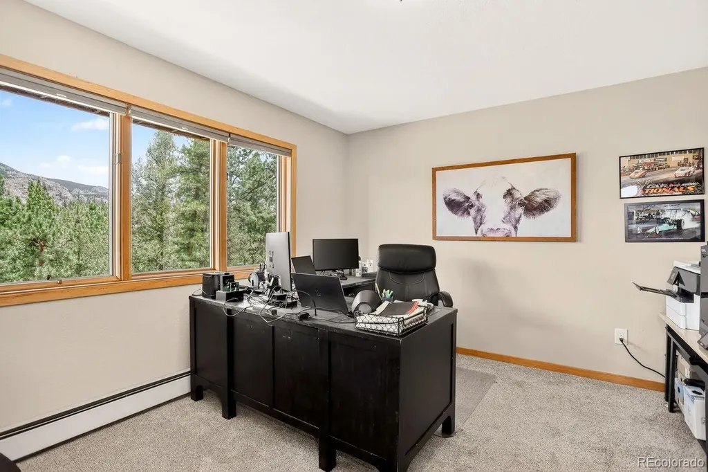 203 Valley View Lane Pine CO 80470