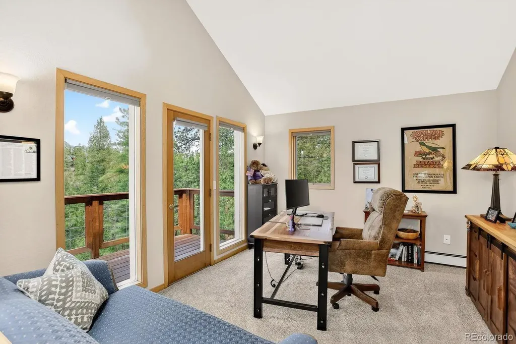 203 Valley View Lane Pine CO 80470