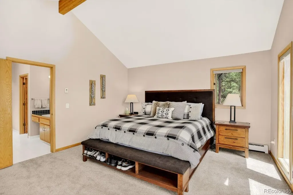 203 Valley View Lane Pine CO 80470