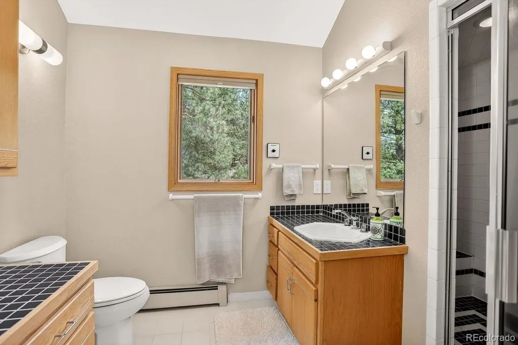 203 Valley View Lane Pine CO 80470