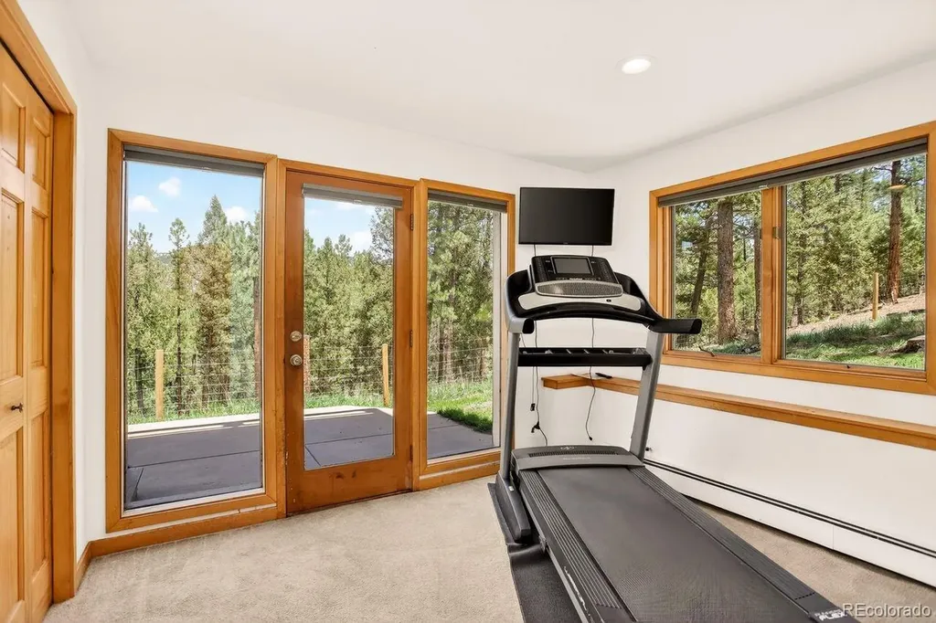 203 Valley View Lane Pine CO 80470