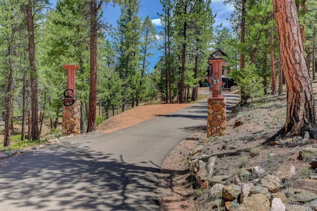 203 Valley View Lane Pine CO 80470