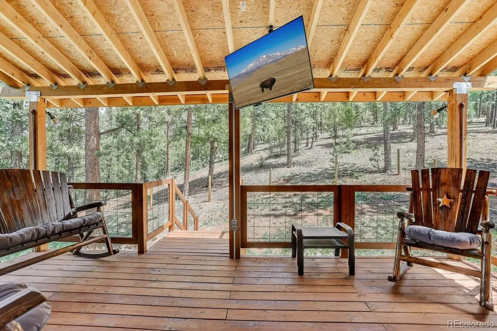 203 Valley View Lane Pine CO 80470