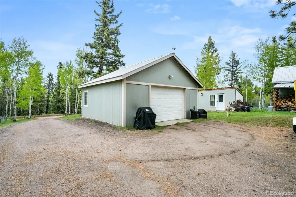 33 Maid Marian Drive Divide CO 80814