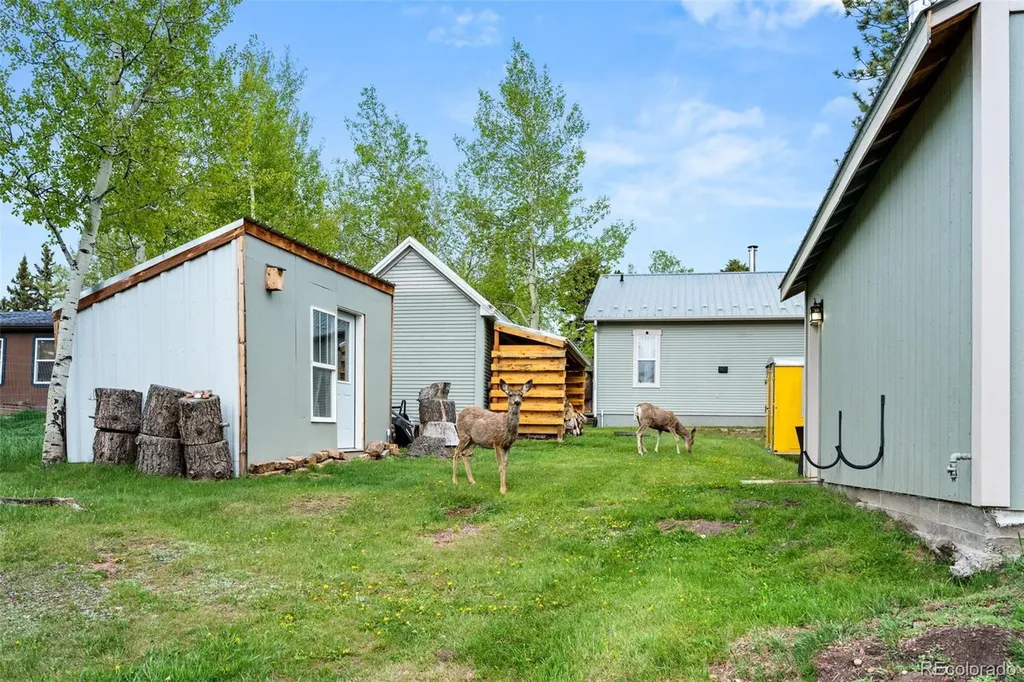 33 Maid Marian Drive Divide CO 80814