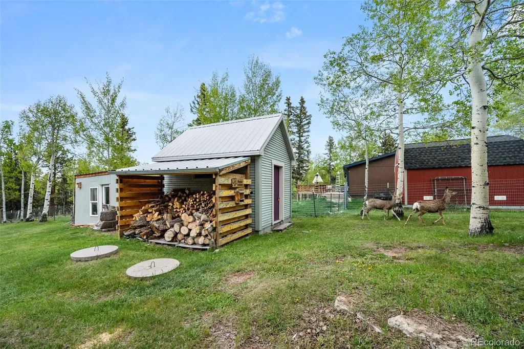 33 Maid Marian Drive Divide CO 80814