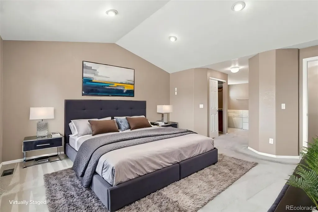 6155 Medford Court Castle Rock CO 80104