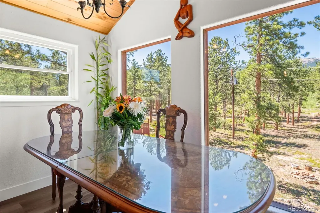 43 Crystal Rock Road Bailey CO 80421