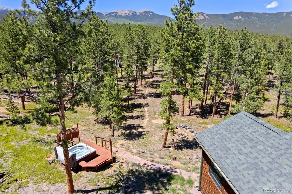 43 Crystal Rock Road Bailey CO 80421