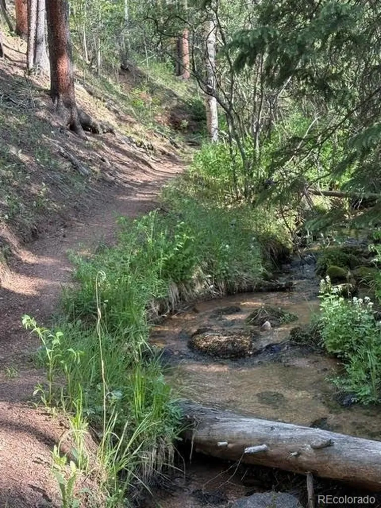 43 Crystal Rock Road Bailey CO 80421