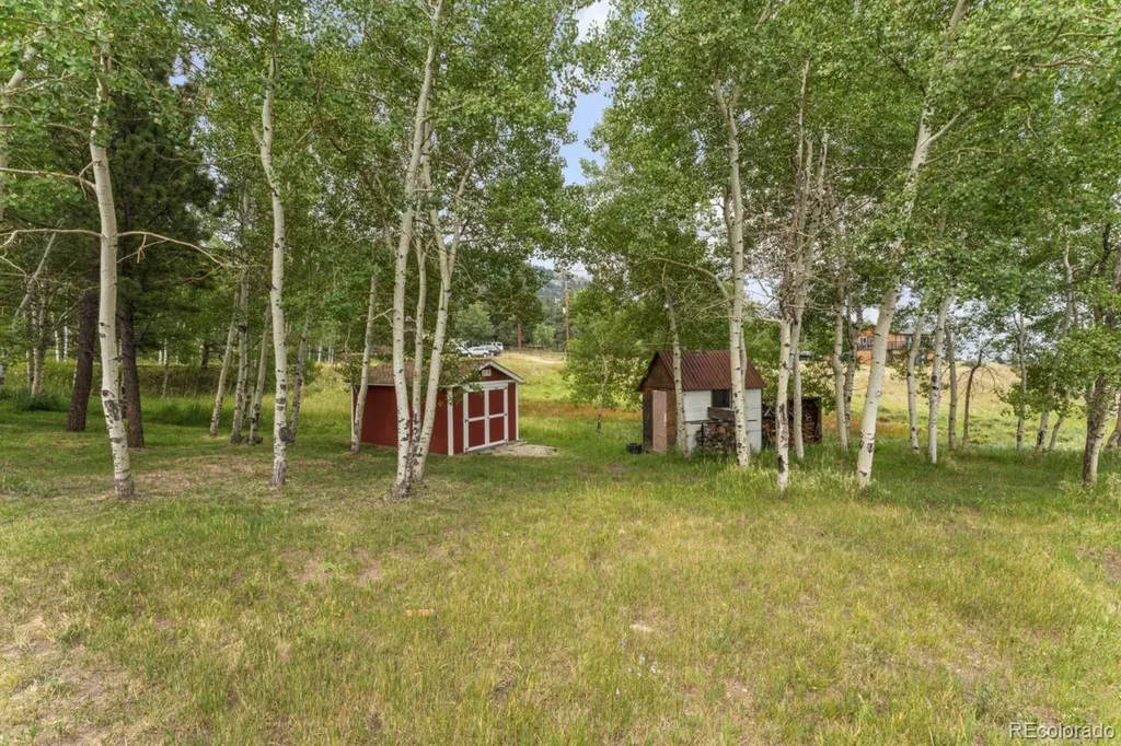 26292 Vosler Street Conifer CO 80433