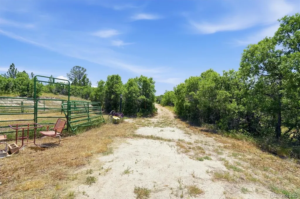 698 Peak View Drive Castle Rock CO 80109