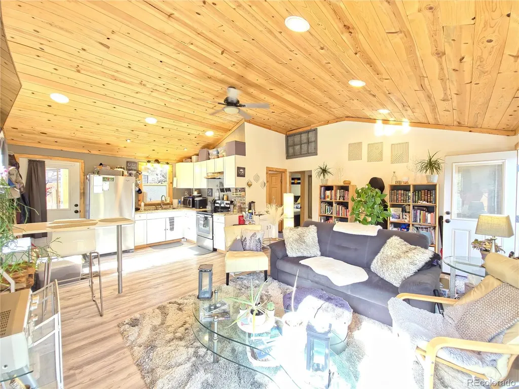 226 Hall Road Bailey CO 80421