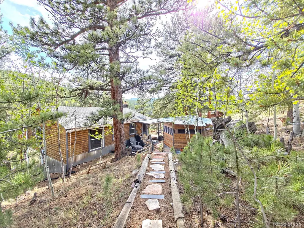226 Hall Road Bailey CO 80421