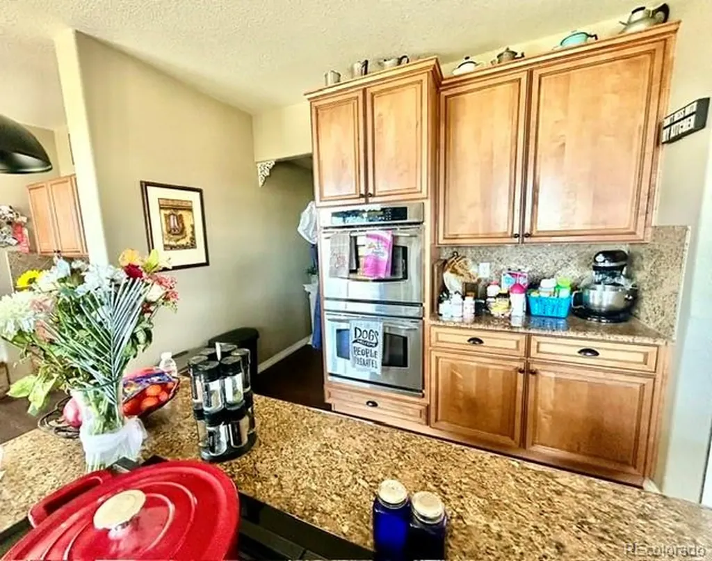 2364 Elkhorn Ranch Street Parker CO 80138