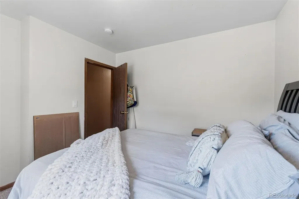 101 S Maple Street Leadville CO 80461