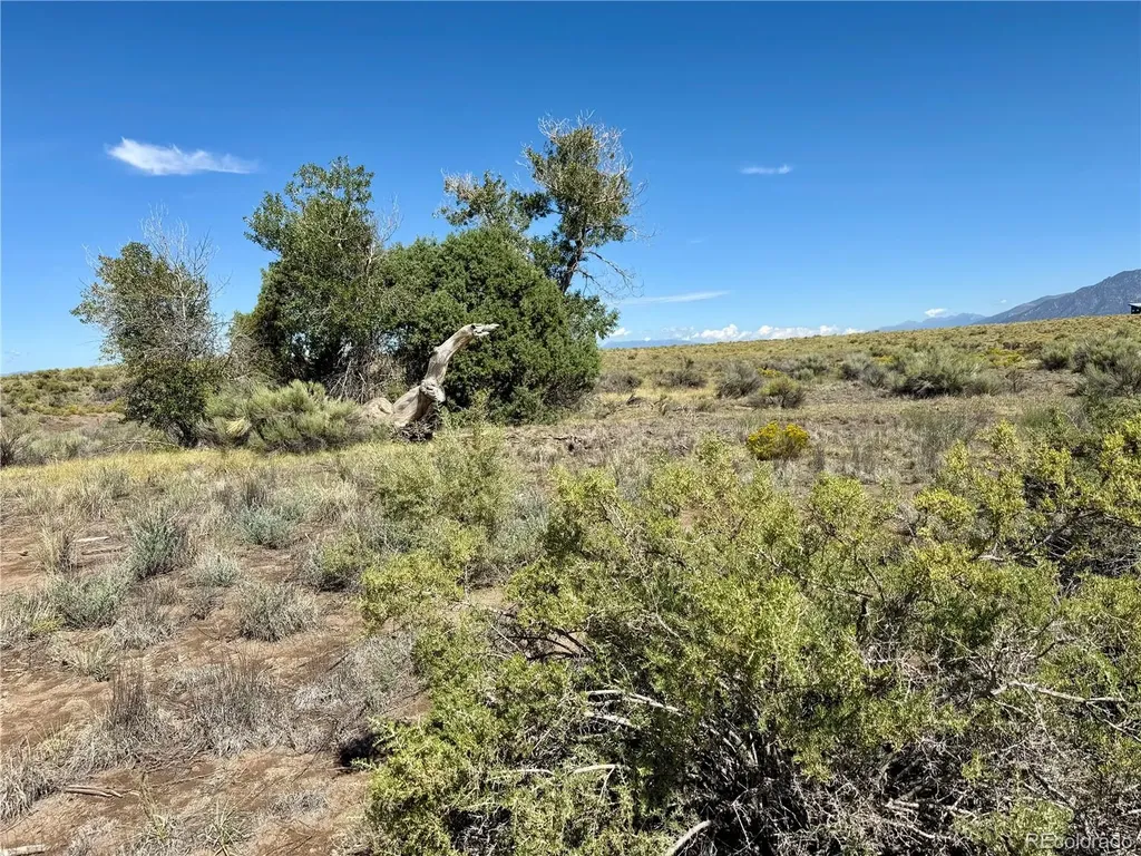 448 Heatherbrae Road Crestone CO 81131