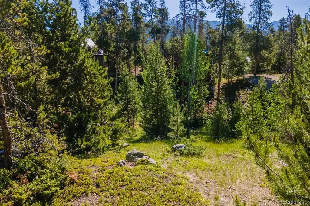 844 Shadow Mountain Drive Grand Lake CO 80447