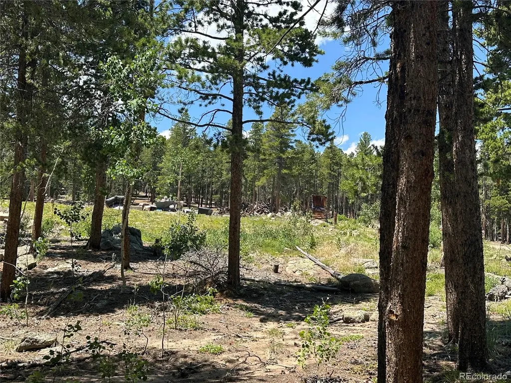 754 Mountain Meadows Drive Black Hawk CO 80422