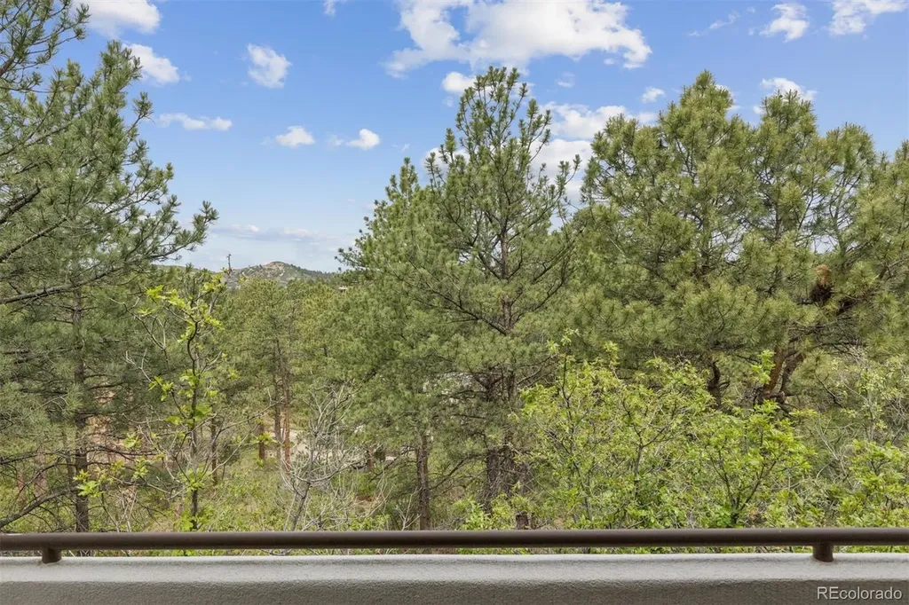 163 Glengarry Place Castle Rock CO 80108