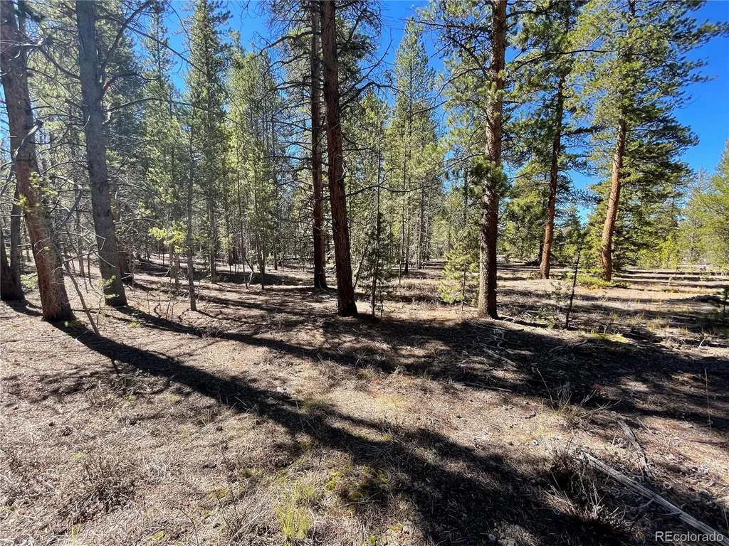 251 Virginia Avenue Leadville CO 80461