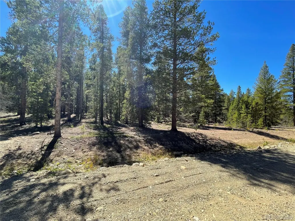251 Virginia Avenue Leadville CO 80461
