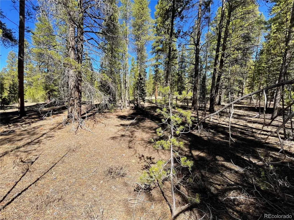 251 Virginia Avenue Leadville CO 80461