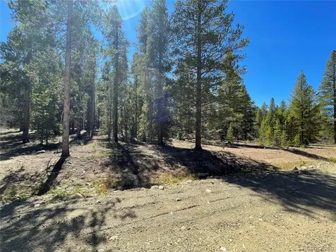 251 Virginia Avenue Leadville CO 80461