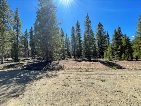 251 Virginia Avenue Leadville CO 80461