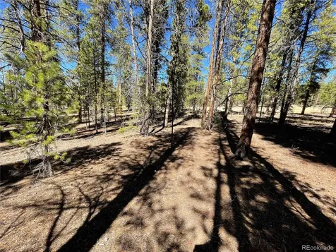 251 Virginia Avenue Leadville CO 80461
