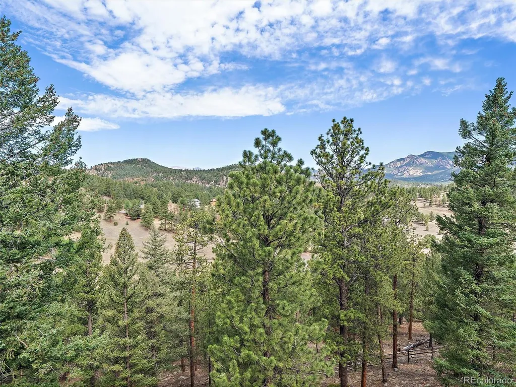 13695 May Long Court Pine CO 80470
