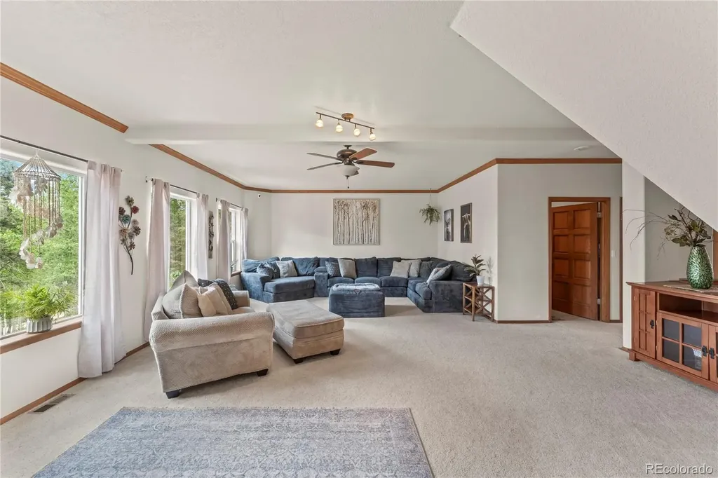 510 Banner Trail Florissant CO 80816