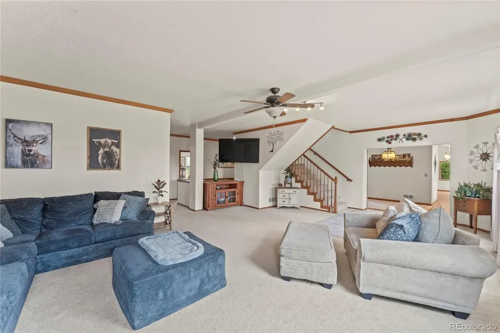 510 Banner Trail Florissant CO 80816
