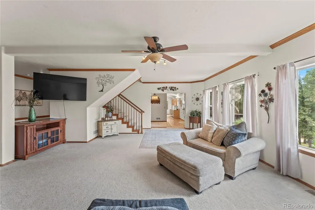 510 Banner Trail Florissant CO 80816