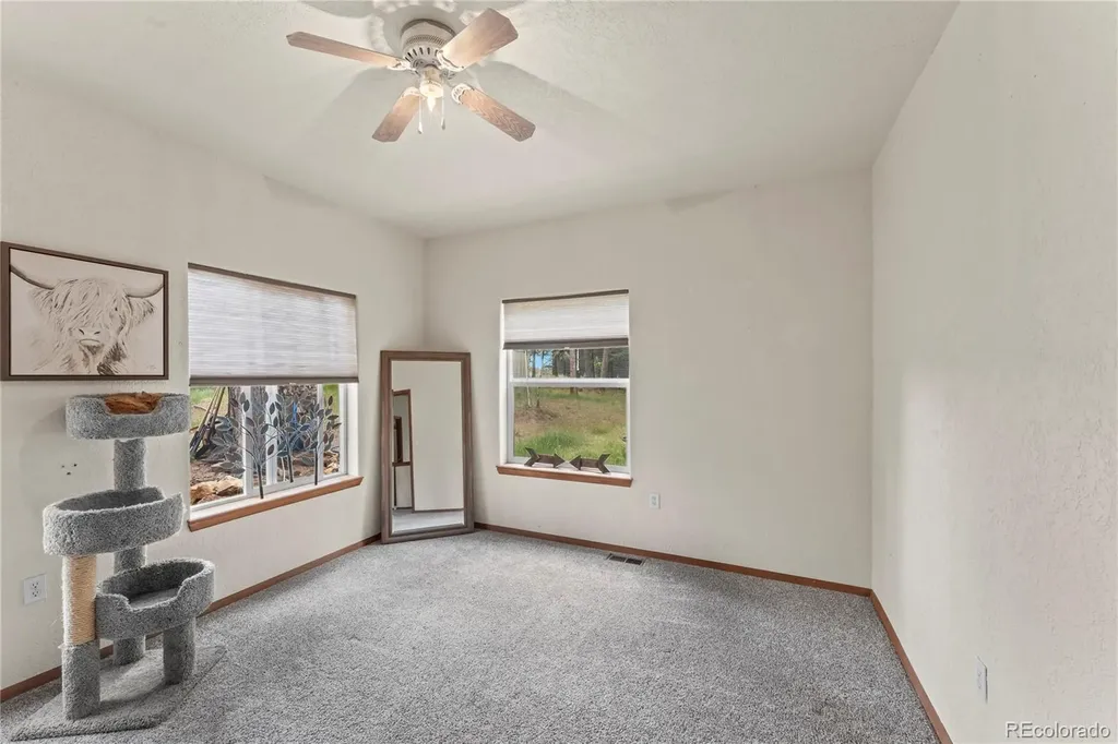 510 Banner Trail Florissant CO 80816