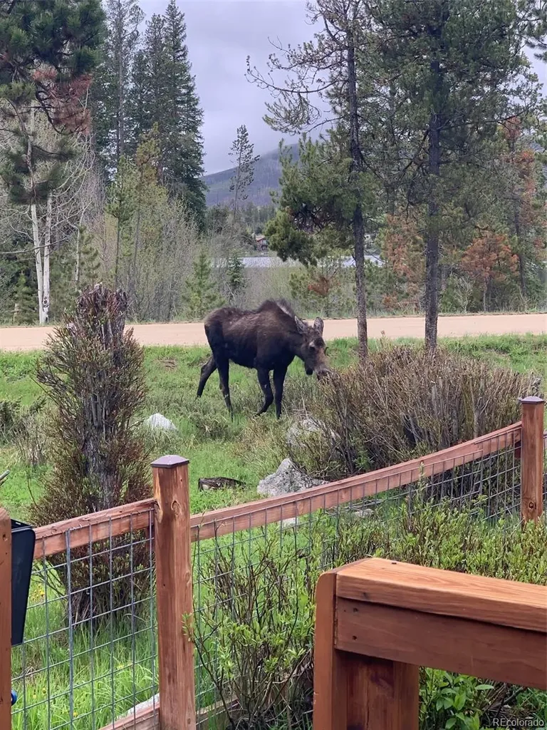 1384 GCR 494 Grand Lake CO 80447