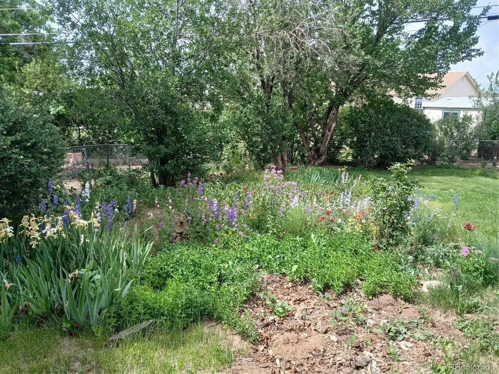 6763 S Ash Way Centennial CO 80122